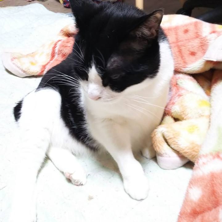 E90cd24c 941c 4831 aebe e434456bf855 1559080133025