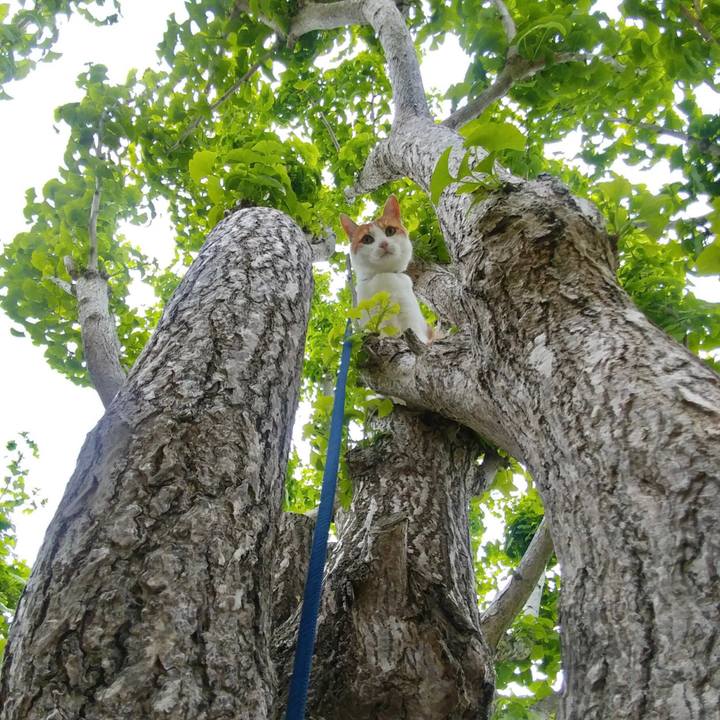 E90d007a a242 4dea 8b6b 494994cf7344 1525603017957