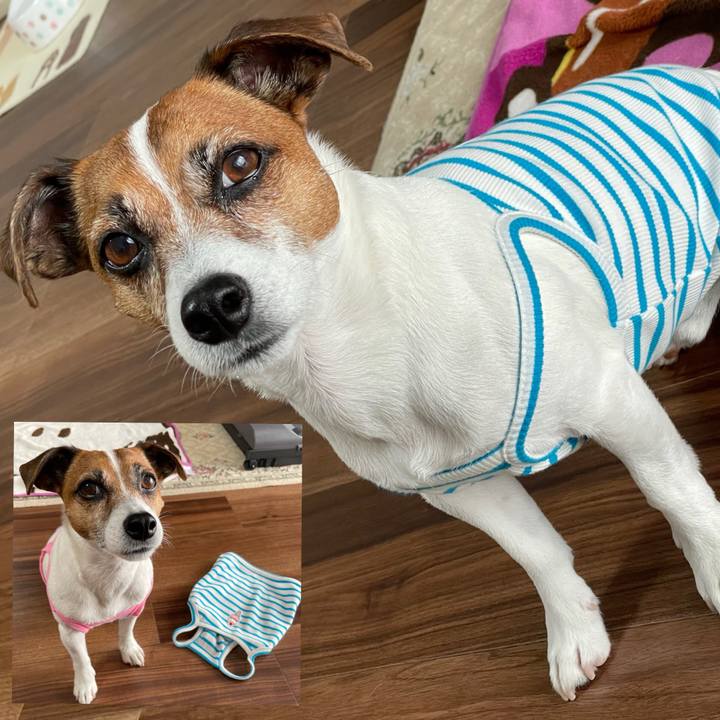 E90d130a b1b9 4393 b06e d1d27de7b8e4 1747353732517