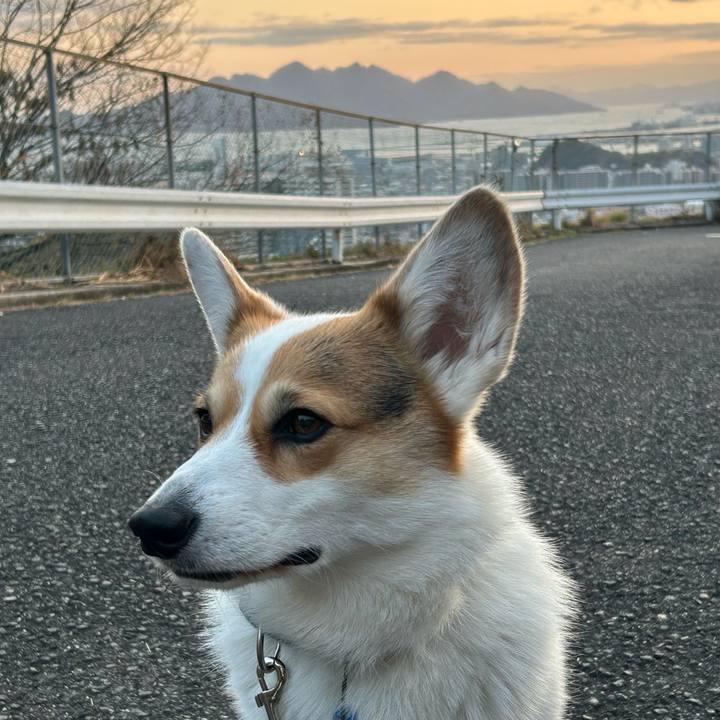 E90d1645 4470 43ac b7ed f0702eb41f58 1772271594915