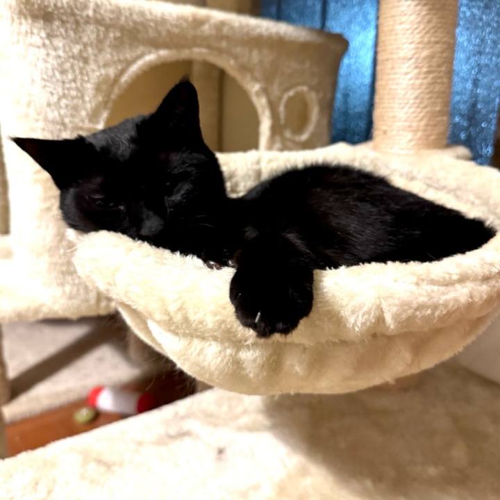 E90d5881 465c 4f74 b0eb 7c5352a5426a 1746923495815