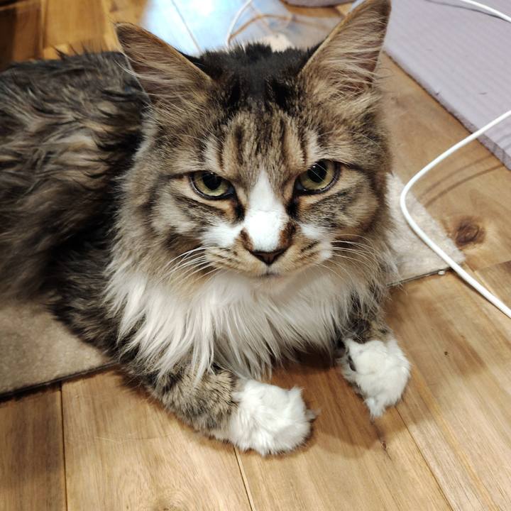 E90d5bf4 2e72 4410 828c 9c9a90fe48b7 1763644570946