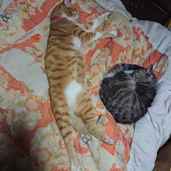 E90d7ddd 3ca4 436c 8423 7ee3a67b173e 1570109994296