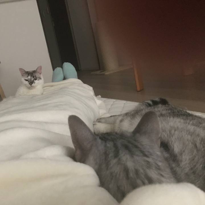 E90d93fb 129d 4433 a759 02faa0fb5c51 1530044267082