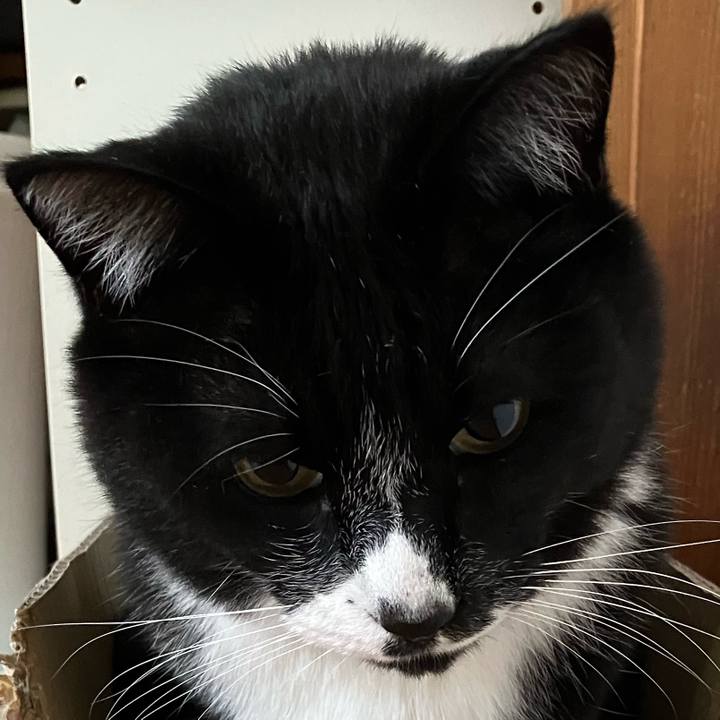 E90d9a69 5454 4bc6 b338 1d6c6ec968db 1749786902794