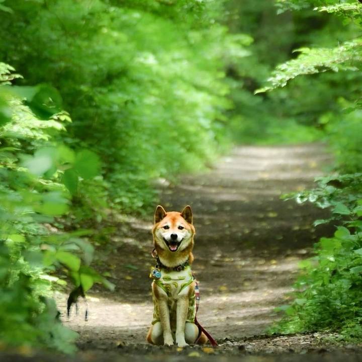 E90d9e21 5975 4264 9346 a828139ddf56 1689315144094