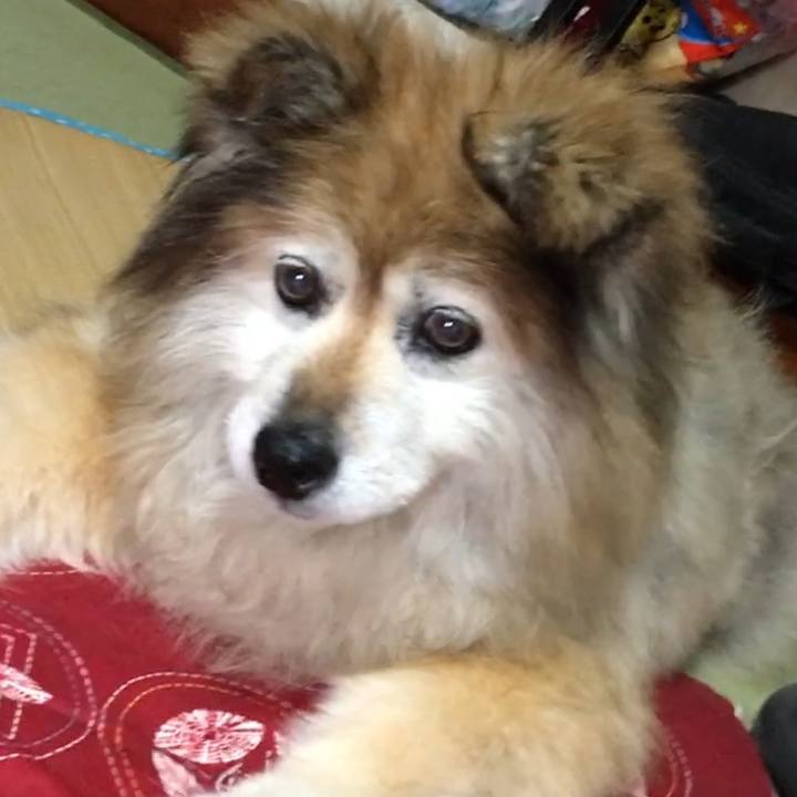 E90da25b 0534 403f ac50 f585be4f29b1 1551949641432