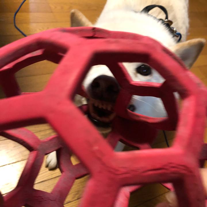 E90dab1e bf78 4580 8bc7 b14a046b8063 1716883186297