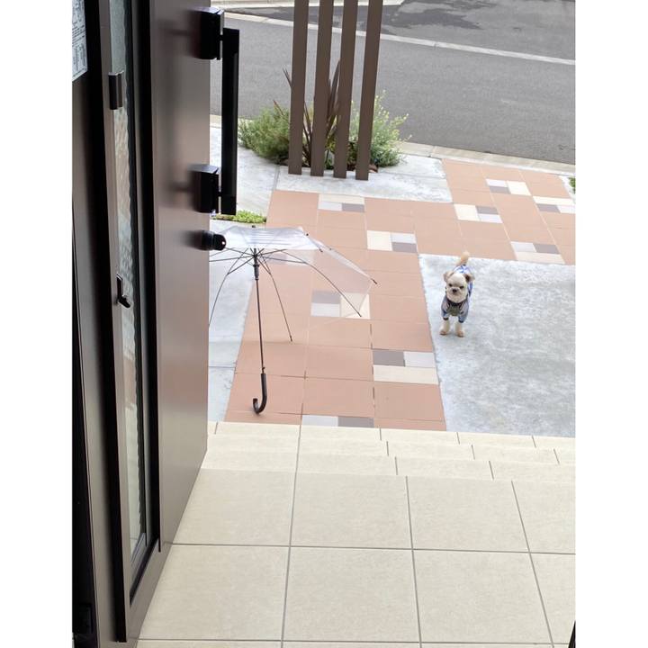 E90db526 3132 4c3e ab3e d1b7b80a8922 1630722915538