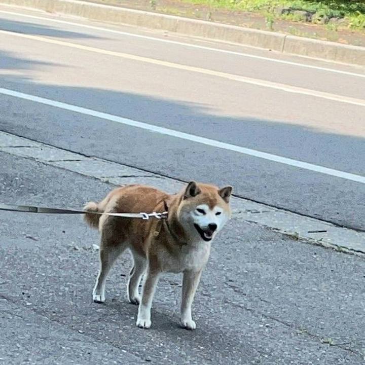 E90db9cf ff69 4567 ace5 f85e4b395ca2 1623480102958