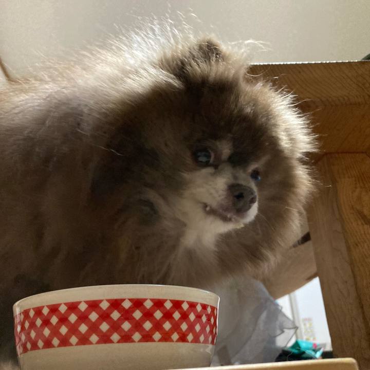 E90dbae9 6d26 4c60 b857 49fd6af063b0 1736026775888