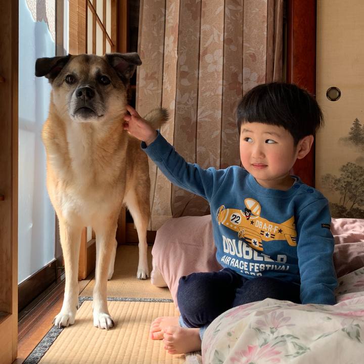 E90dc7bd f3ca 496c 8500 4f2eee98f7da 1547800652480