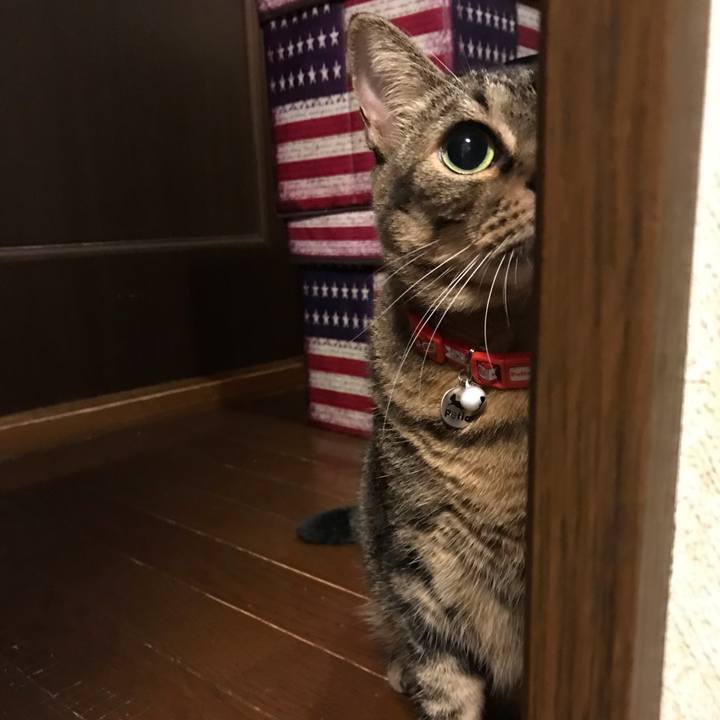 E90df601 1641 4ffe a696 e9a0e3f565ed 1634045986872