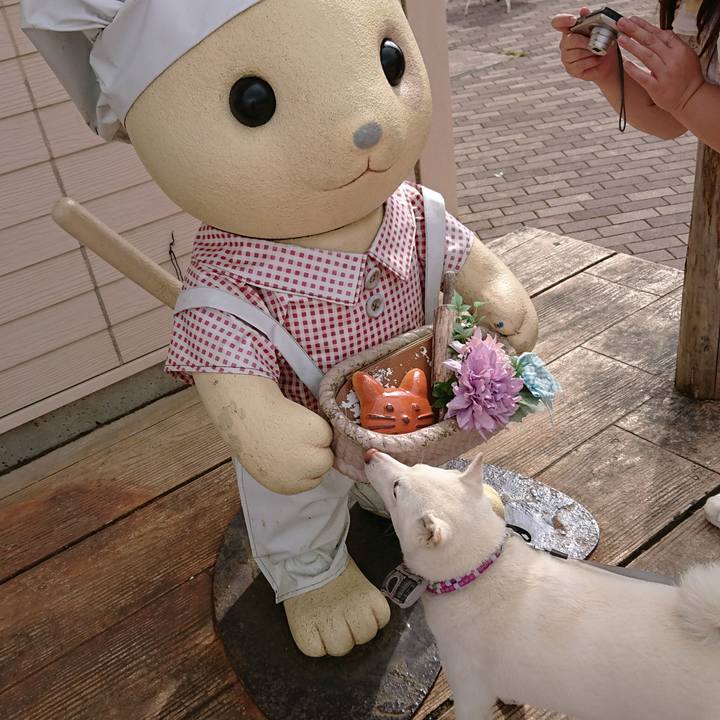 E90e591c 6a17 472b 933d d3ab18ed15d8 1569823037450