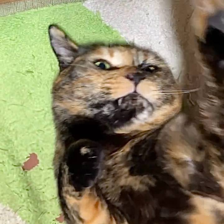 E90e7e0f f34f 4377 90f5 22def71e8f49 1736542292225