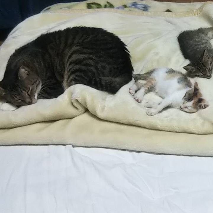 E90e85c2 2fba 4022 9bf3 b511b46af440 1633181851326