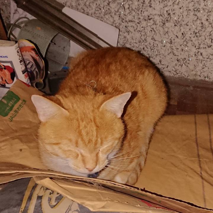 E90e98da 0ad5 47e9 828b deec04fa3447 1567626294935