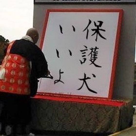 E90ef213 c227 4f92 bae4 dbfae7499b7e 1513754468059