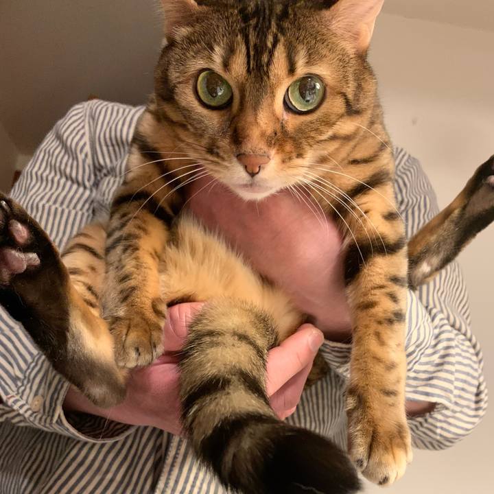 E90ef5d0 6e9d 46e9 9888 0e036cc5c337 1618959898121