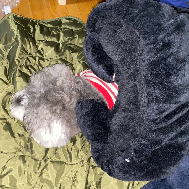 E90f10d2 6496 468d 86e2 20dcdfe27e39 1602950696024