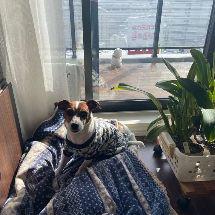 E90f2f2e 2e43 4b81 bd5a 4c6f094f1a8f 1739069087783