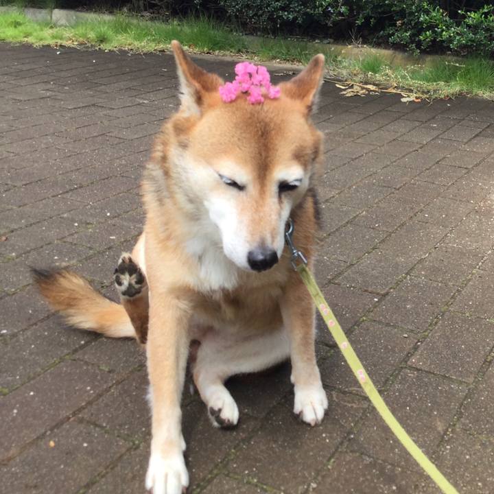 E90f3fd7 96c2 48d2 8d60 2c66b41e5b7d 1629868134060