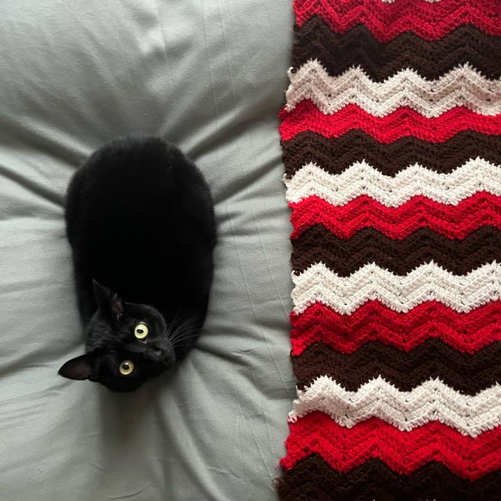 E90f72f0 59e2 48b5 a83e e0f6c2414bfb 1676515914205