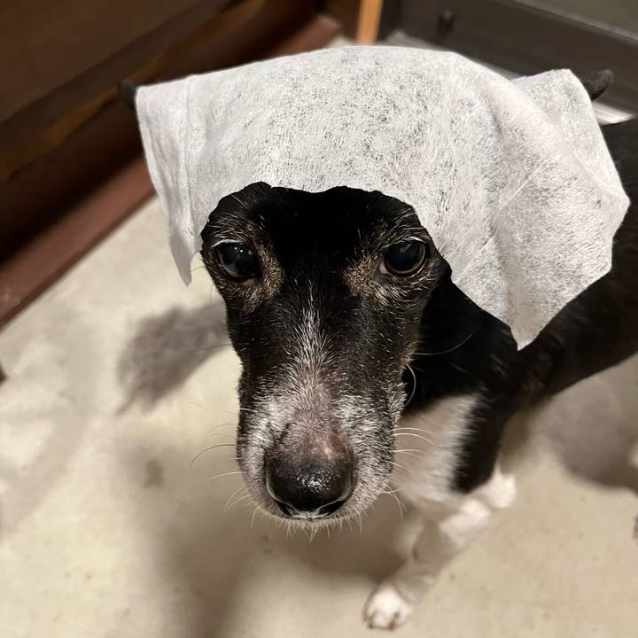 E90fb1ac da8b 4cd8 a075 1ebe98e2e40a 1704716050017