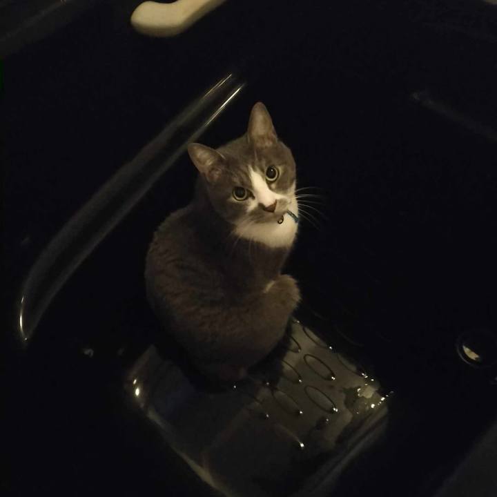 E90fc913 cf03 460c bd8c f23f736da8c9 1709240831888