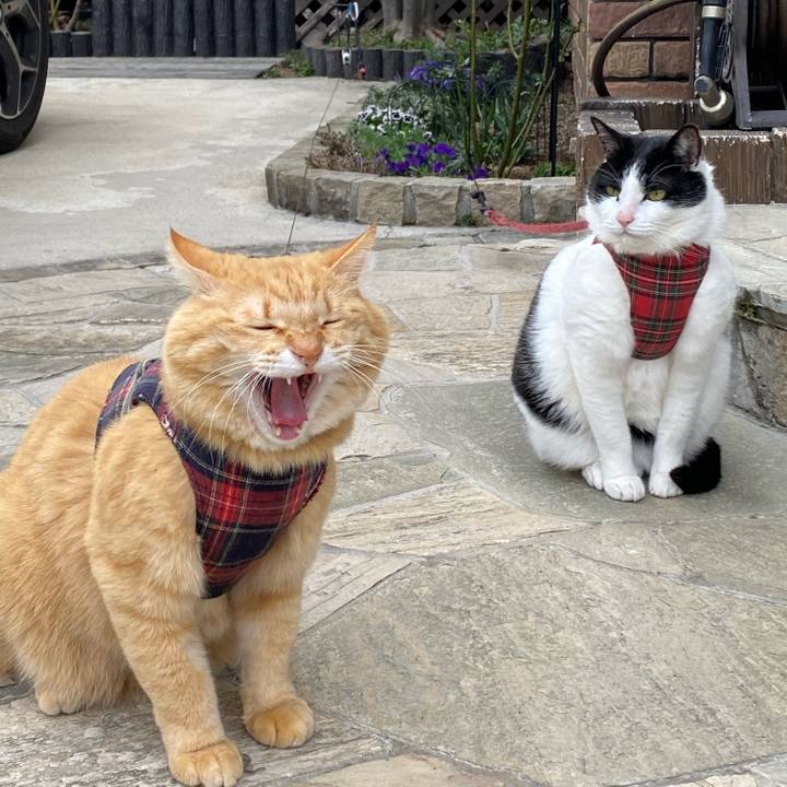 E90fcd1f c972 49fd b807 67346a763e3a 1712144521599