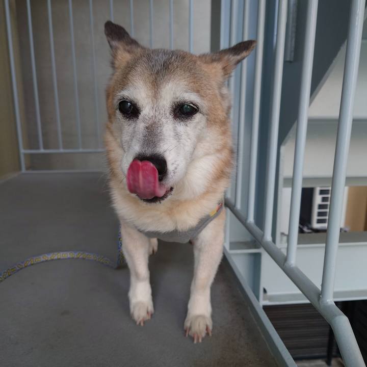 E9103cf5 ed77 4ce9 a112 e2bd3596bba4 1746952283292