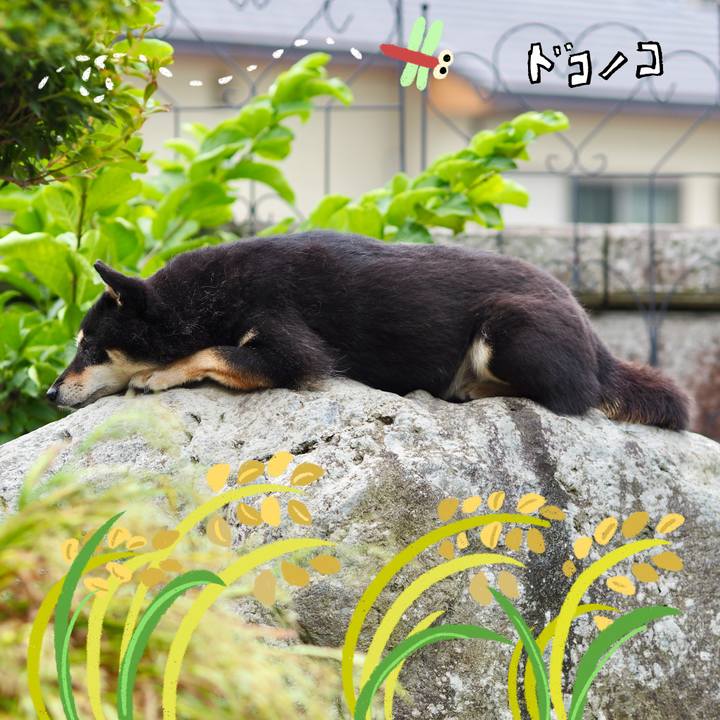 E9104e7e ab53 4447 a4a1 36b8eb81ceac 1761380430548