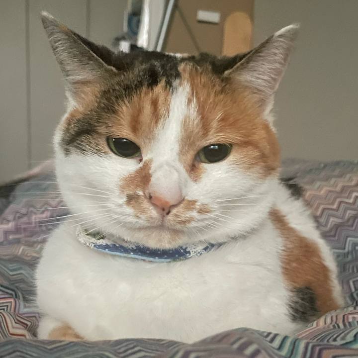 E910576e 44df 4f9a a2f1 7a02d07aca6e 1703547447176