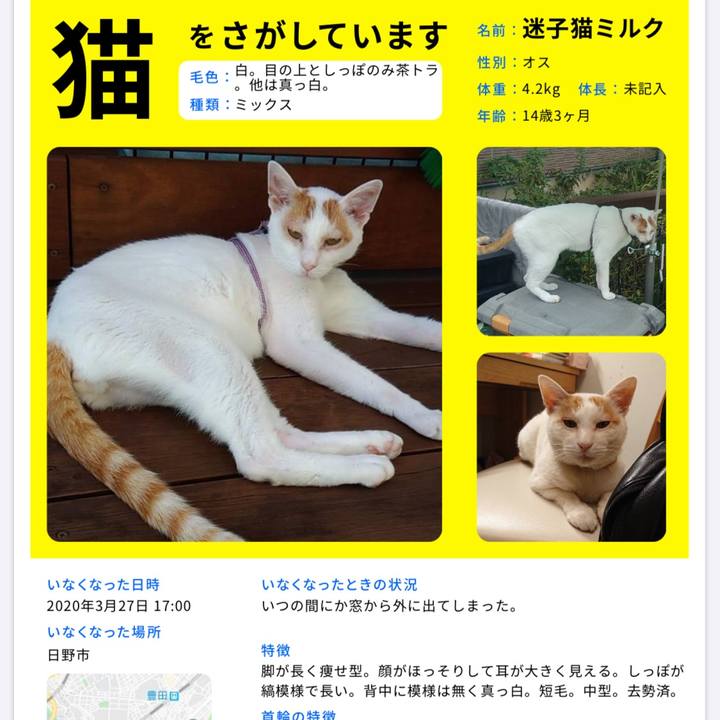 E9106a61 babe 4982 ad29 49bdf87946b4 1589507142111