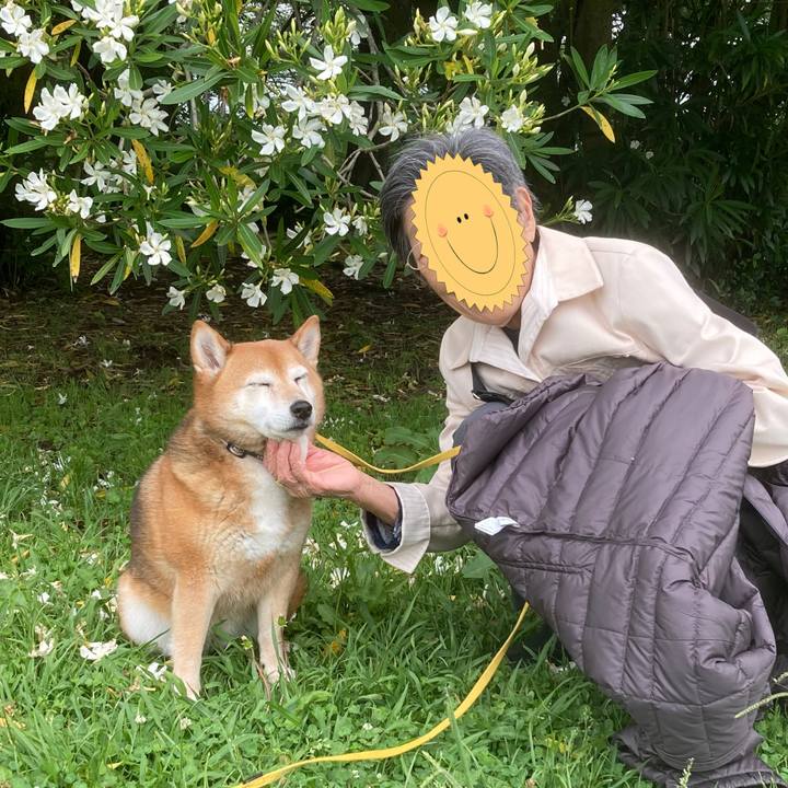 E910b093 a425 46c6 b0f5 1575e61d706b 1654668595254