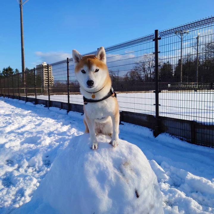 E910b2e3 887c 4d36 a687 9ed35872117b 1638500831176