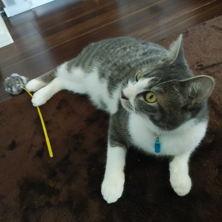 E910e639 9a22 4be1 8775 91d8eccda107 1580778434094