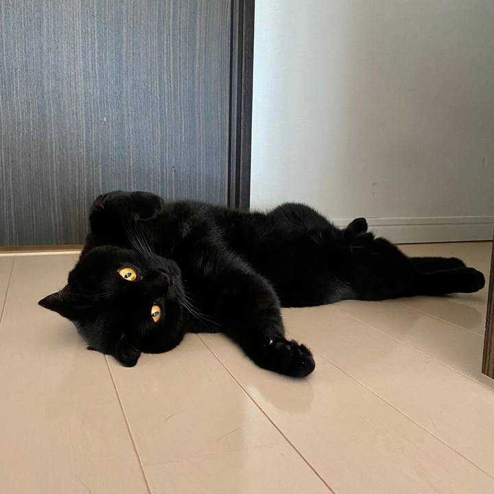 E9113d61 6492 4955 a962 b6941df38f42 1597026660741