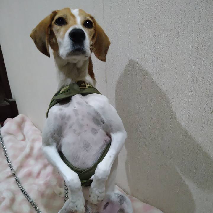 E91159db 4888 47b8 84b9 1c75bd78dda8 1669113371885