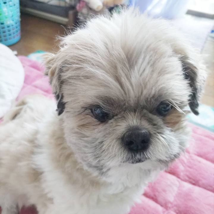 E911a12f 3c9b 43da b110 29352e0e0e88 1773300092089