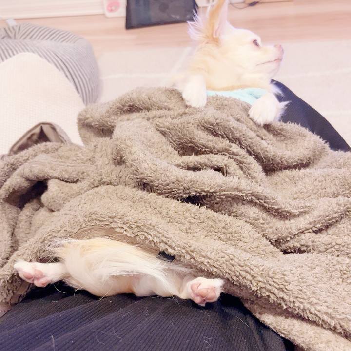 E911bc46 14be 404a b846 7a0b4eaa21f9 1732438851422