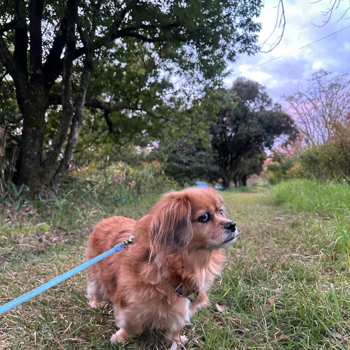 E911ddbc 0e1d 434f 865a 83c489568b52 1732312693954