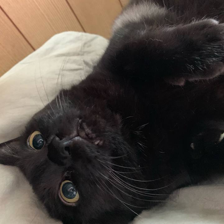 E912029b 6504 4fb2 a05f e18801838341 1563754936574