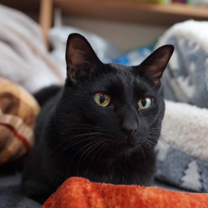 E912296a 79ff 4ce5 9a85 c6a310bdad4f 1610428832573