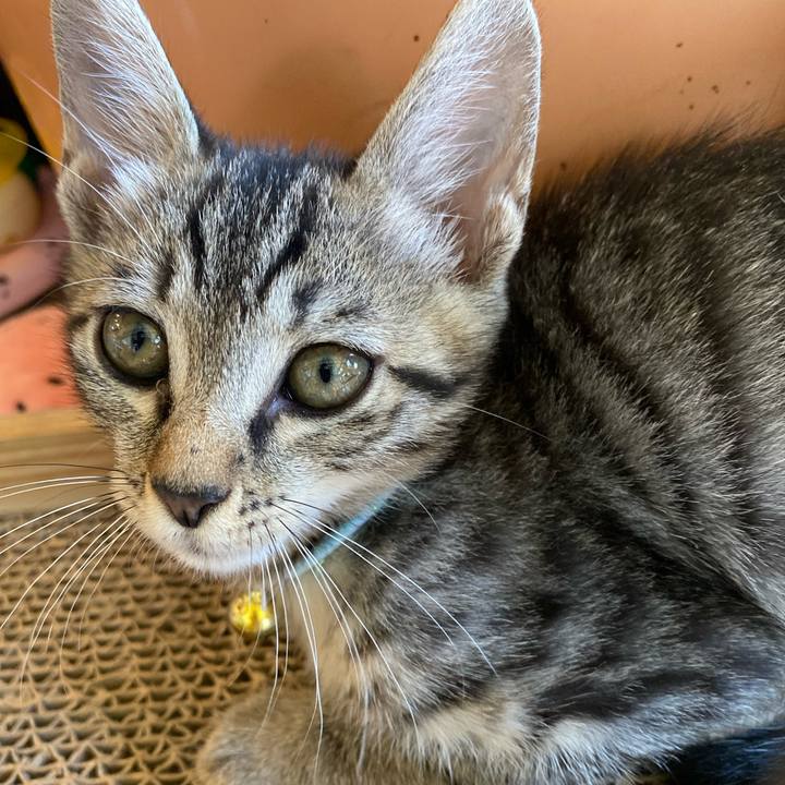 E912642d 5ec4 45cf 825b 21889274f716 1720771127397