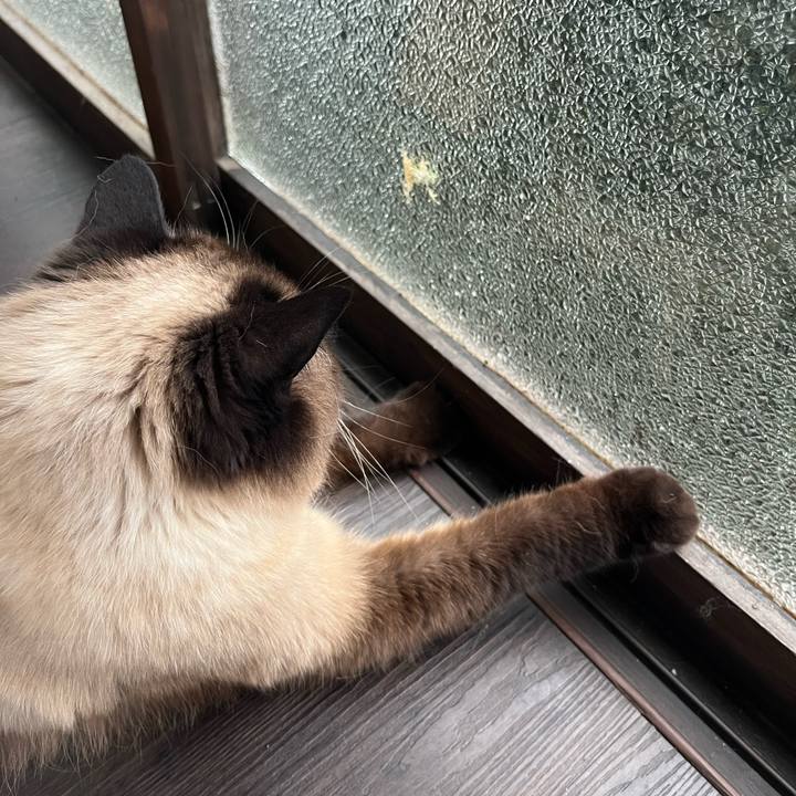 E91276bb b12d 41ba ae2b af10e71e5135 1689067335710