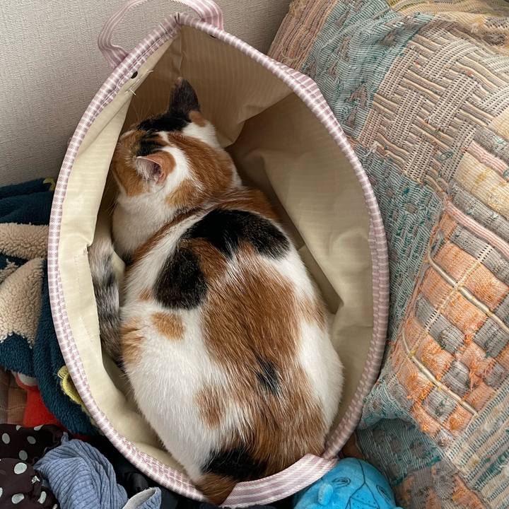 E912936e 8f9a 48f0 a6e9 4f052eecbe01 1662180528632