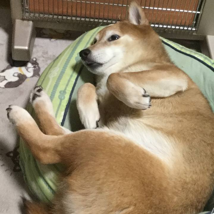 E912aadb e5fc 4dc5 bf58 8cd43096f56a 1611925469117