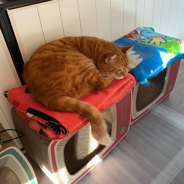 E912aff6 02ba 40a9 a4ab f8fee2a19e3a 1636846768870