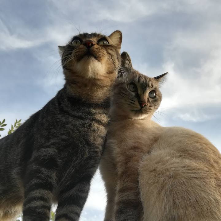 E912ca31 26c8 4a5d a7c8 c49f7eb4df32 1573973219091